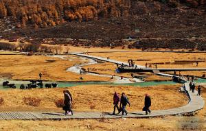 Garze Daocheng Yading